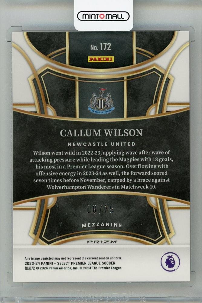 2023-24 PANINI Select English Premier League Callum Wilson Orange #17208/75 Newcastle United