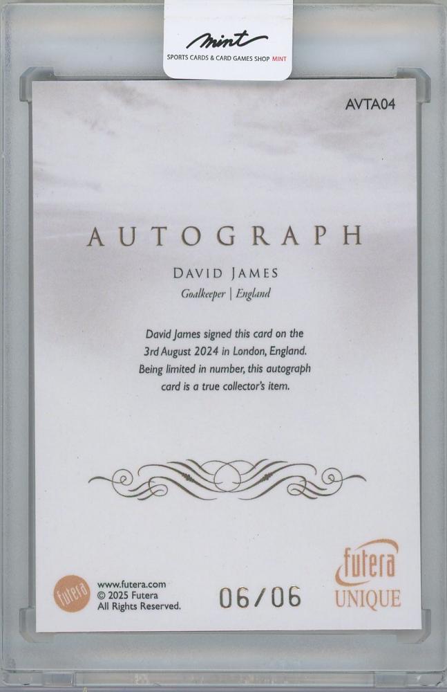 2025 FUTERA Unique World Football Edition 21 Gold Framed Autographs / DAVID JAMES(England) 06/06