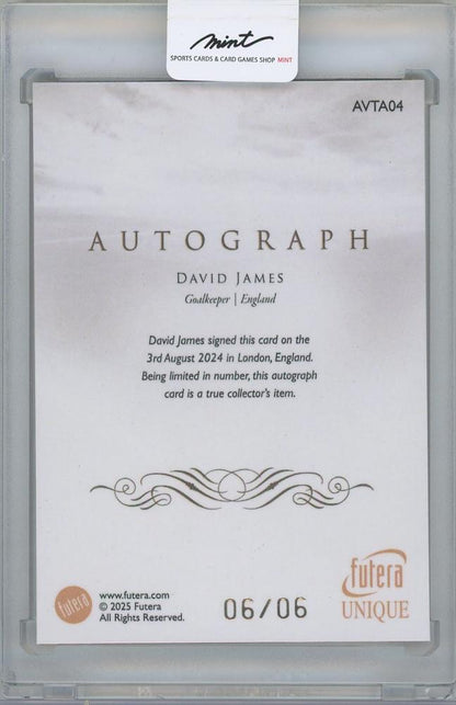 2025 FUTERA Unique World Football Edition 21 Gold Framed Autographs / DAVID JAMES(England) 06/06