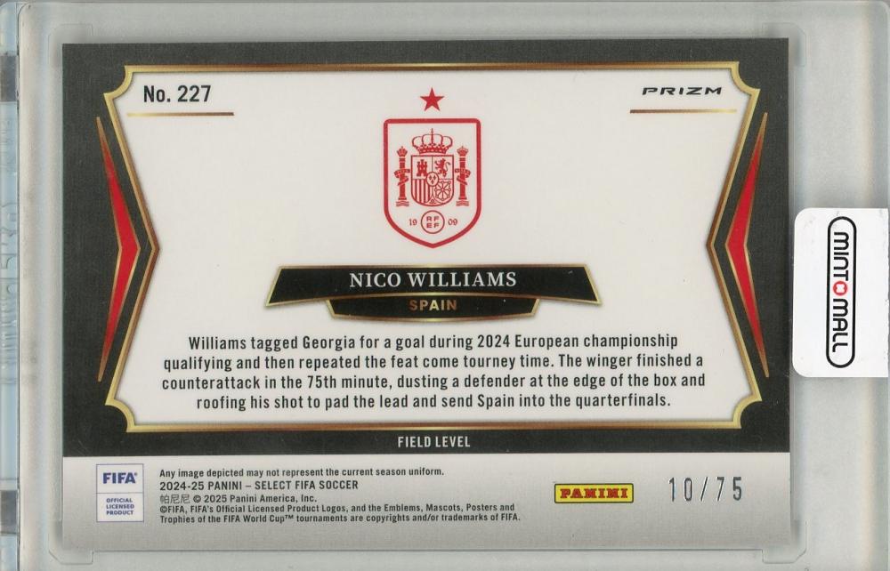 2024-25 PANINI SELECT Niko Williams Bronze Checker Prizm #22710/75 Spain