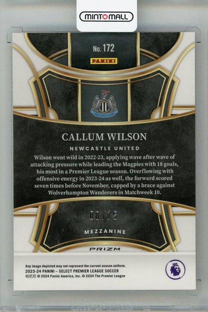 2023-24 PANINI Select English Premier League Callum Wilson Orange #17208/75 Newcastle United