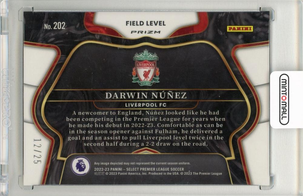 2022-23 Panini Select Premier League soccer Darwin Nunez Zebra 12/25 Liverpool FC
