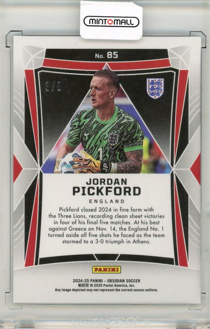 2024-25 Panini Obsidian Soccer Jordan Pickford 3/8