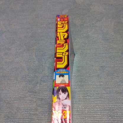 Bandai One Piece P-043 card with Weekly Shonen Jump 2023 Issue 36-37 magazine Japanese edition