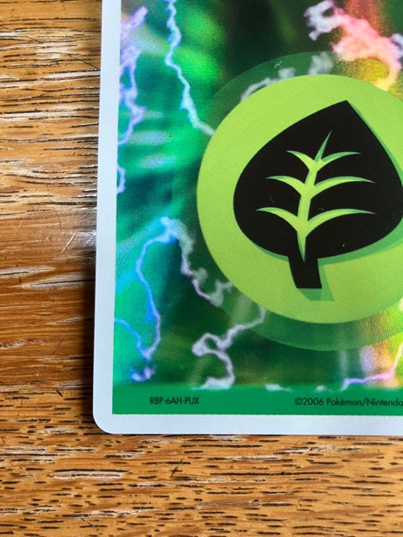 Kanoji Basic Grass Energy 2006 Edition Holo Pokemon Card model R8P-6AH-PUX in hard plastic case Japan import