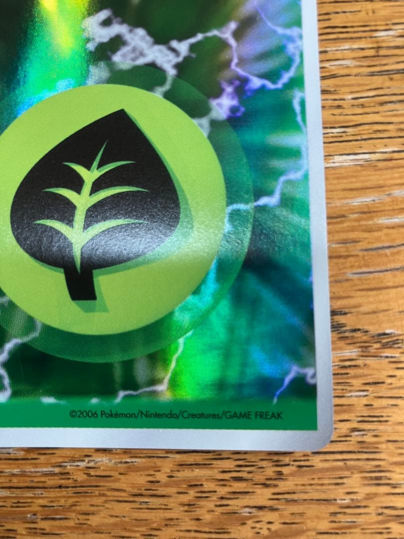 Kanoji Basic Grass Energy 2006 Edition Holo Pokemon Card model R8P-6AH-PUX in hard plastic case Japan import