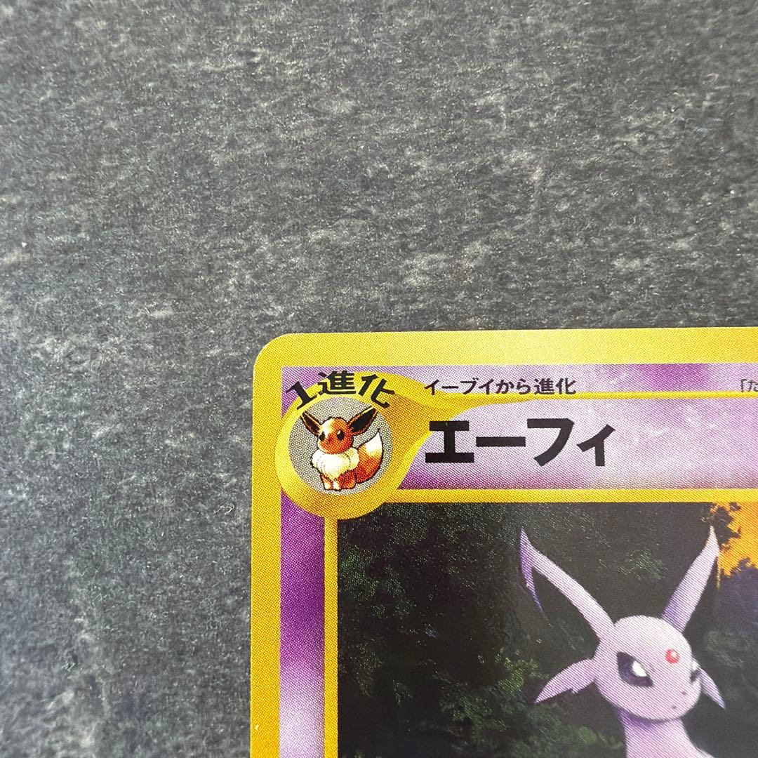 Eevee Premium Promo Card second generation Neo VS WE front view with protective sleeve and bag