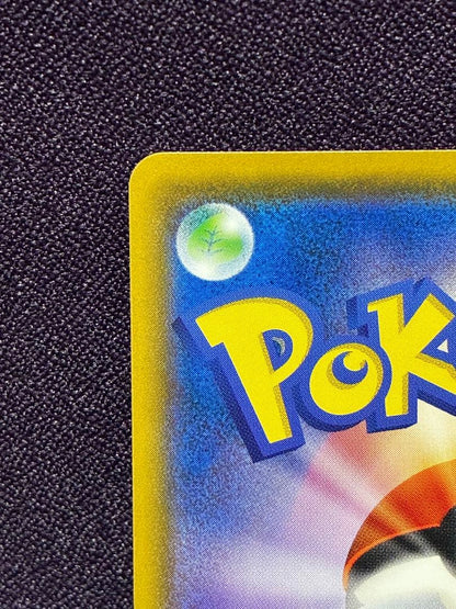 Pokemon Eevee Munch Exhibition 2018 Promo Card 287/SM-P rare collectible from Japan import