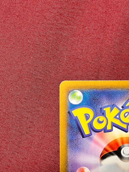 Close-up of Pokemon Charizard EX SV2A SR 185/165 trading card in protective sleeve and rigid loader