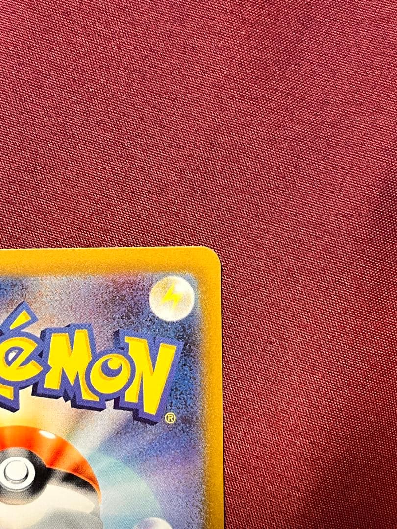 Close-up of Pokemon Charizard EX SV2A SR 185/165 trading card in protective sleeve and rigid loader