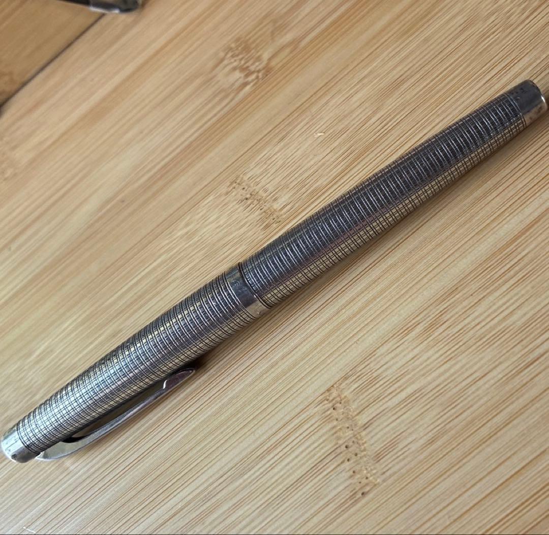 Platinum Sterling Silver Fountain Pen with 18K Fine Nib and Converter — Japan Import