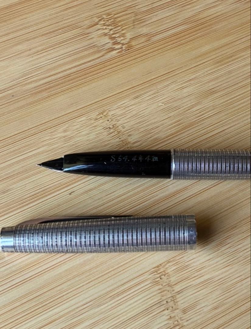 Platinum Sterling Silver Fountain Pen with 18K Fine Nib and Converter — Japan Import