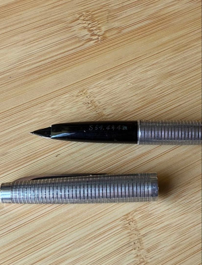 Platinum Sterling Silver Fountain Pen with 18K Fine Nib and Converter — Japan Import