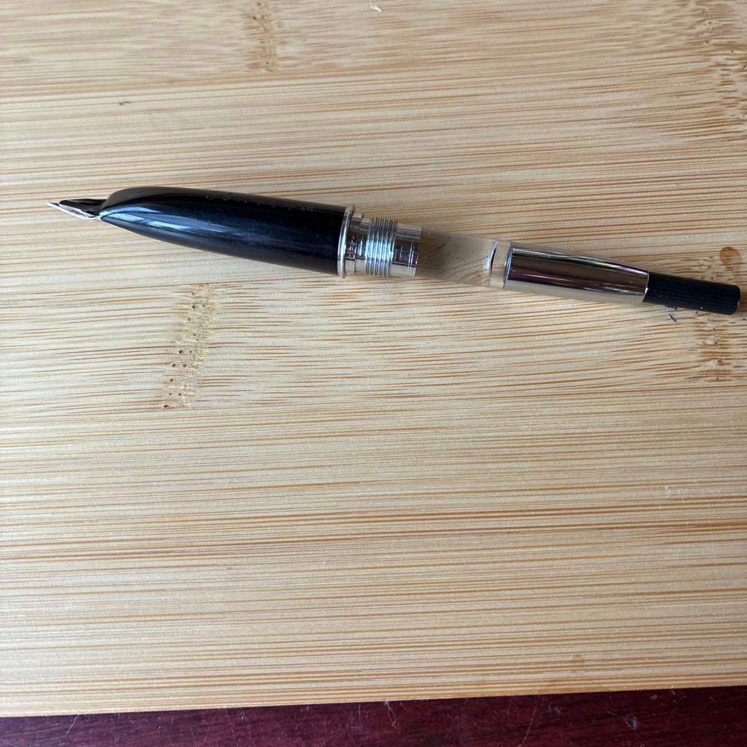 Platinum Sterling Silver Fountain Pen with 18K Fine Nib and Converter — Japan Import