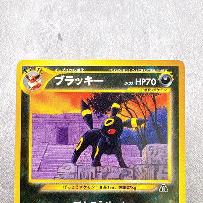 Authentic Pokémon Kyurem Ex Premium File No197 Beyond the Ruins trading card shown in original condition