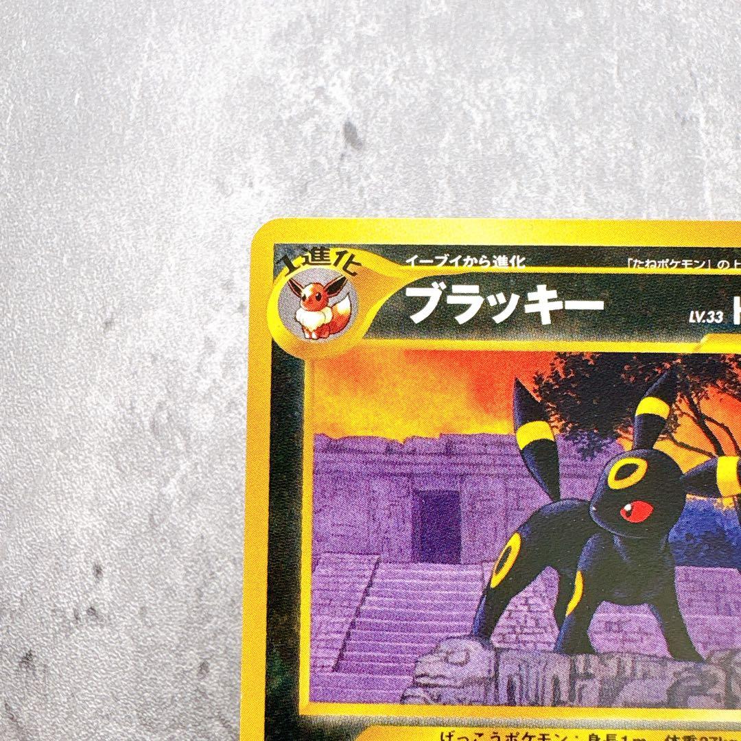 Authentic Pokémon Kyurem Ex Premium File No197 Beyond the Ruins trading card shown in original condition