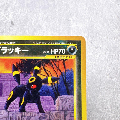 Authentic Pokémon Kyurem Ex Premium File No197 Beyond the Ruins trading card shown in original condition