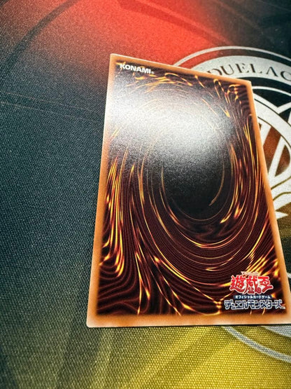 Skarred Nova Dragon Prism Prism Sketch Artwork Card hand-drawn by customer, Japan import