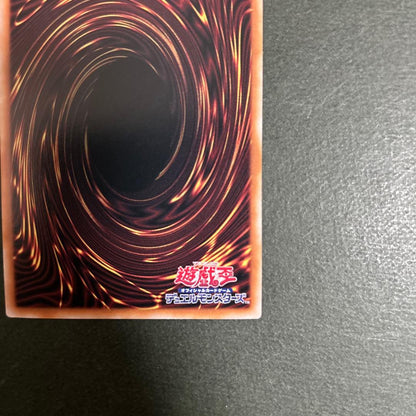 Bandai Yu-Gi-Oh! Red-Eyes Black Dragon 25th Secret PRIDE difference Japanese trading card