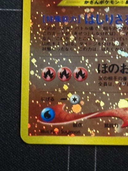 Yamato Entei Premium File 2 featuring spiral pattern and old card back, Japan import
