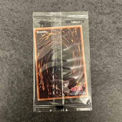 Yu-Gi-Oh Black Magician Duelist Legend 25th Tokyo Dome ② Japanese trading card