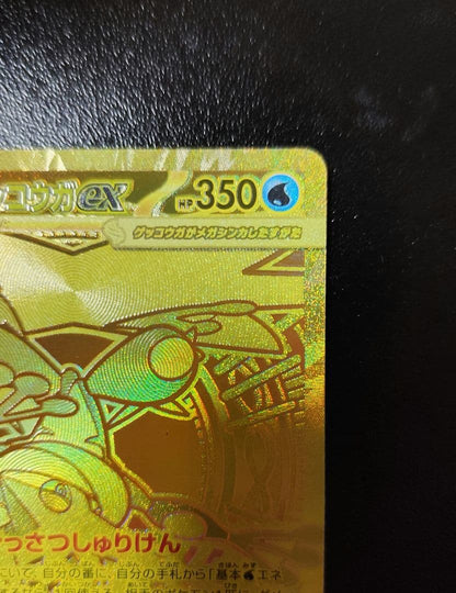 Mega Gekkooga EX MUR Pokemon trading card in a double sleeve with clear front view