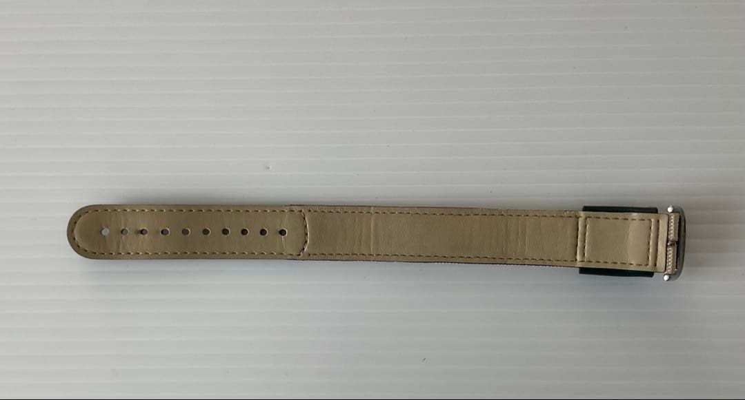 Casio Pro Trek Ley PRL-30 Accessory Watch Charm