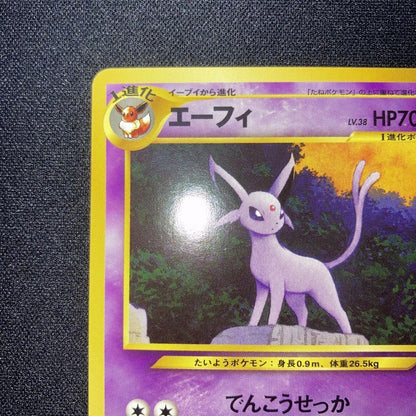 Pokemon Ed Corey Collection Premium File Old Card Promo vintage collectible card in used condition