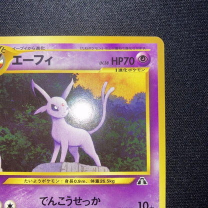 Pokemon Ed Corey Collection Premium File Old Card Promo vintage collectible card in used condition
