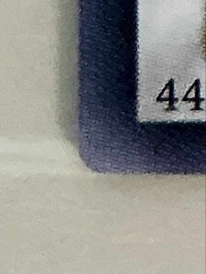 Yu-Gi-Oh! Star Dust Dragon Reliever TDGS-JP040 Japanese card displayed in a protective sleeve