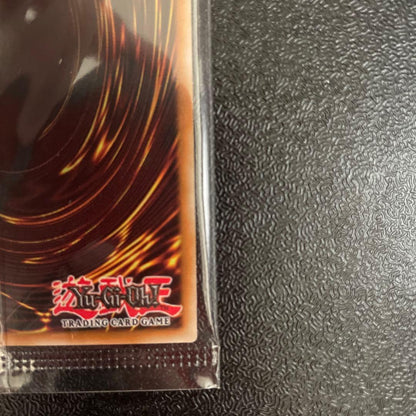 Yu-Gi-Oh! Light of Protection Sword 25th Classic WCS2024 Secrebe collectible card Japan import