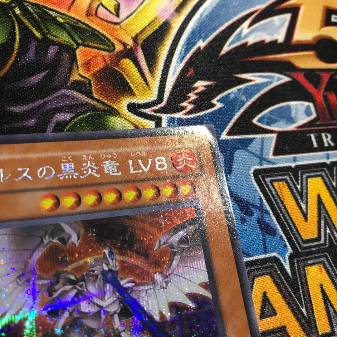 Bandai Horus Black Flame Dragon LV8 Secret Platinum Rare card Japanese import showing front artwork