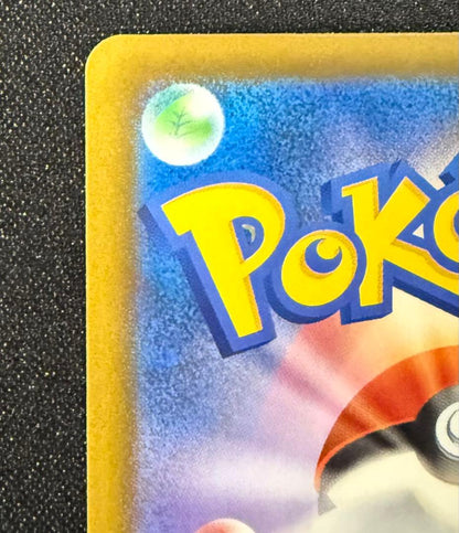 Mega Darkrai ex SAR trading card from Japanese lottery in protective sleeve and magnet loader