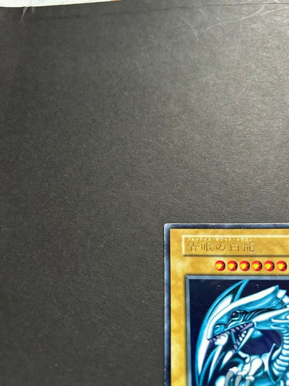 Blue-Eyes White Dragon Ultra Rare Yu-Gi-Oh! OCG card from starter box with visible wear
