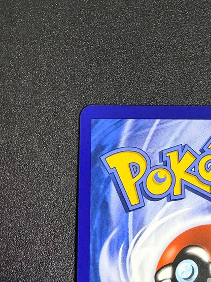Pokemon Card Alola Friends 081/S-P Promo Support Trainer in waterproof hard case with Japan Post shipping