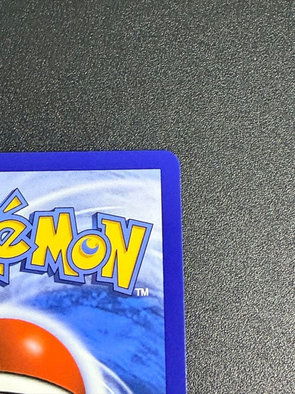 Pokemon Card Alola Friends 081/S-P Promo Support Trainer in waterproof hard case with Japan Post shipping