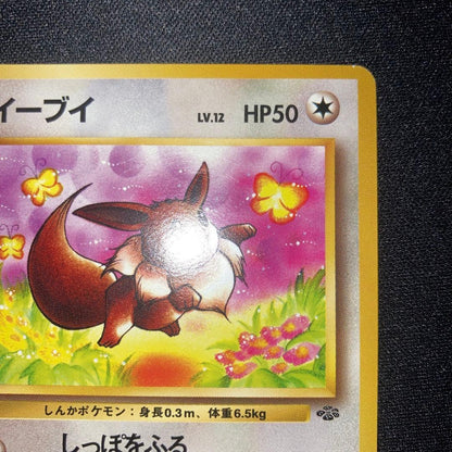 Rare Japanese Pokemon Jungle Old Sanctuary Eevee collectible card in near-complete condition
