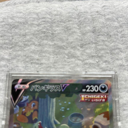 Bandai Vangyaras V SR S5I One-Hit Master Card 077/070 from Sword & Shield series