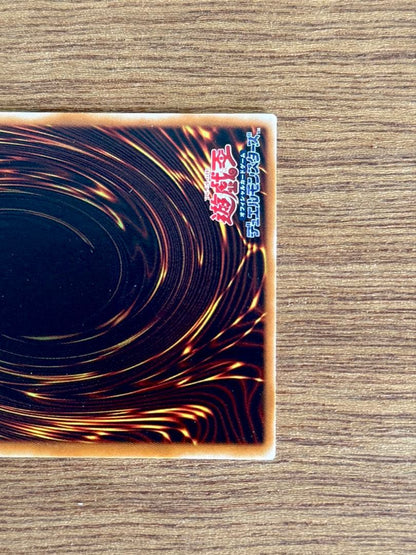 Yu-Gi-Oh Duel Monsters Red Eyes Black Dragon relief card 301-056 Japanese normal monster dark dragon