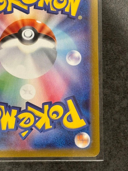 Pokemon Card Cheren Support Promotional Card Japanese import with Japanese text and artwork
