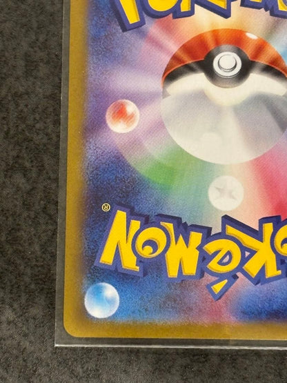 Pokemon Card Cheren Support Promotional Card Japanese import with Japanese text and artwork