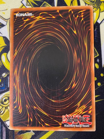 Yu-Gi-Oh Harpie's Pet Dragon French Version Secret Rare RP02 First Edition trading card showing front