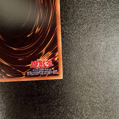 Yu-Gi-Oh Heat Spirit of Fire Spirit User 20th Secret Rare collectible card Japan import