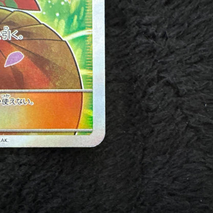 Erica No Omotenashi SR collectible card stored in protective sleeve from Japan import