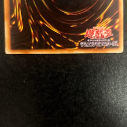 Master of Dragons Ultra Rare trading card featuring detailed dragon artwork and special design elements