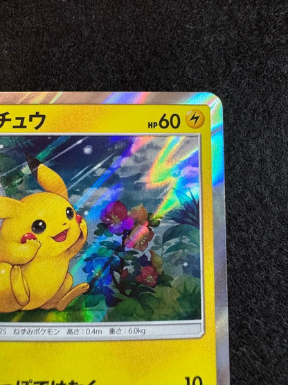 Pokemon Pikachu promotional card 044/SM-P from the Sun & Moon series, Japan import
