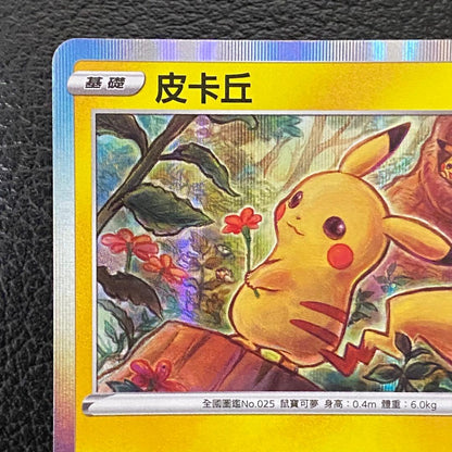 Pikachu promo card Taiwan limited edition Lunar New Year single card Japan import