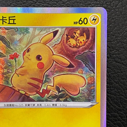 Pikachu promo card Taiwan limited edition Lunar New Year single card Japan import