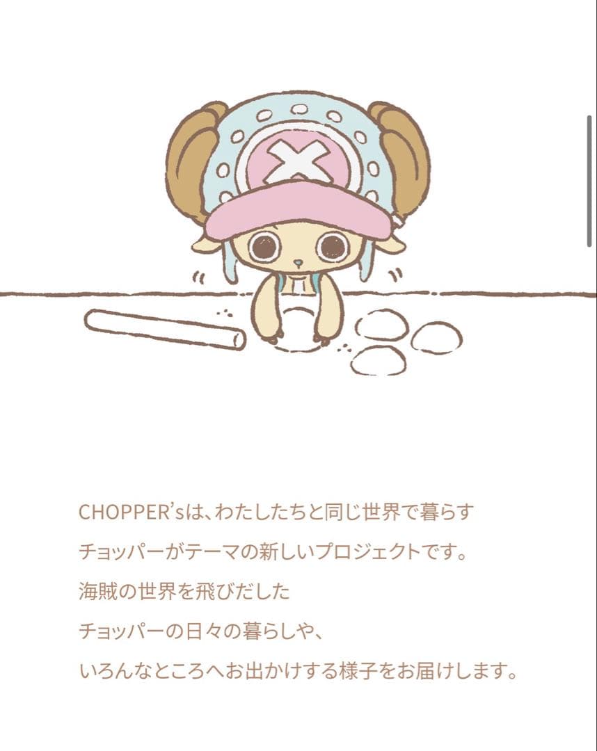 Chopper's One Piece magazine insert booklet set of 3 with bonus cards from Japan, showing front covers