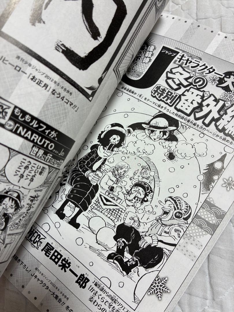 Chopper's One Piece magazine insert booklet set of 3 with bonus cards from Japan, showing front covers